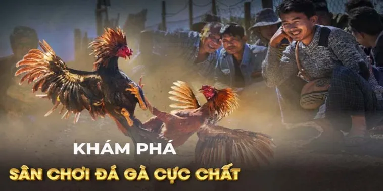 Cách Chơi Đá Gà Ga28 Tại Rikvip Và Mẹo Đặt Cược An Toàn Hiệu Quả