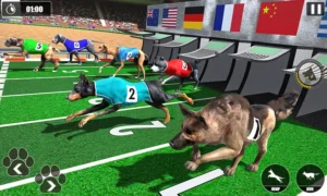 Cách Chơi Game Nhanh Đua Chó Tại RikVip Chi Tiết Cho Người Mới​