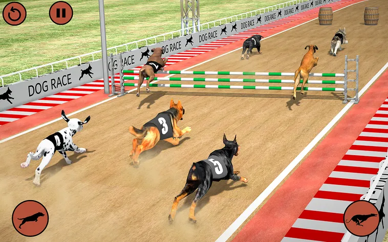Cách Chơi Game Nhanh Đua Chó Tại RikVip Chi Tiết Cho Người Mới​